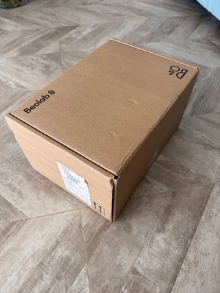 Bang & Olufsen BeoLab 8