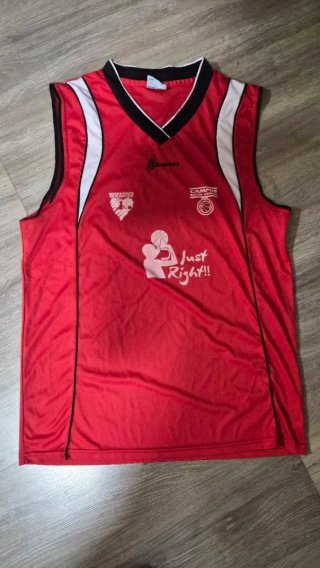 Lote Ropa Baloncesto Camisetas y Pantalones
