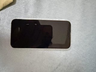 Apple iPhone 13 Pro Argento