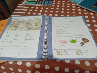 LLENGUA+ TASQUES I DESTRESES COMUNICATIVES 4 PR...