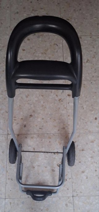 Carro transportador