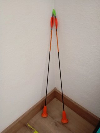 OFERTA PPR MUDANZA Diana de tiro al blanco Geologi