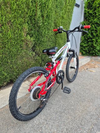 Bicicleta infantil Freerider 20