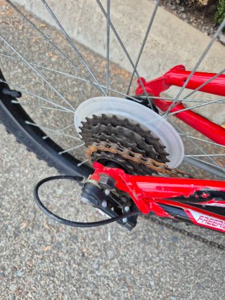 Bicicleta infantil Freerider 20