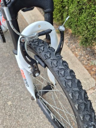 Bicicleta infantil Freerider 20