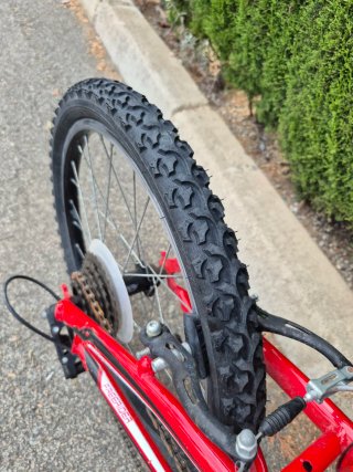 Bicicleta infantil Freerider 20