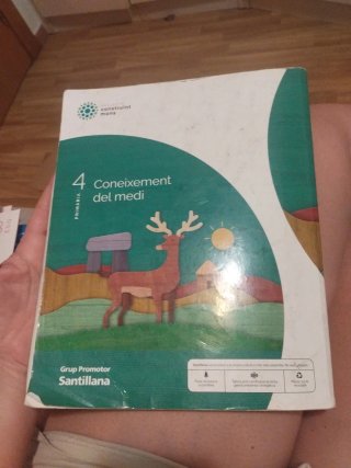 Coneixement del medi, 4 Primària, Projecte Cons...