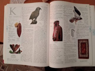 Visual English - Dizionario Illustrato (2 Volumi)