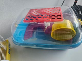 Jaula Hámster Transparente y Azul