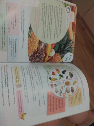 Lengua Castellana, 4 Primaria, Serie Acentos, P...