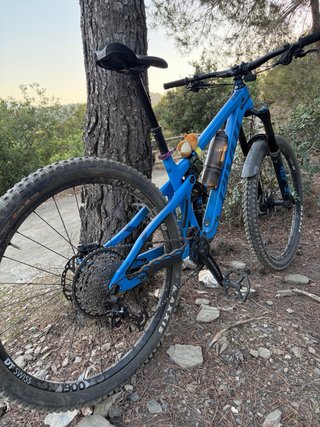 Pivot Switchblade
