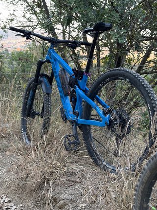 Pivot Switchblade