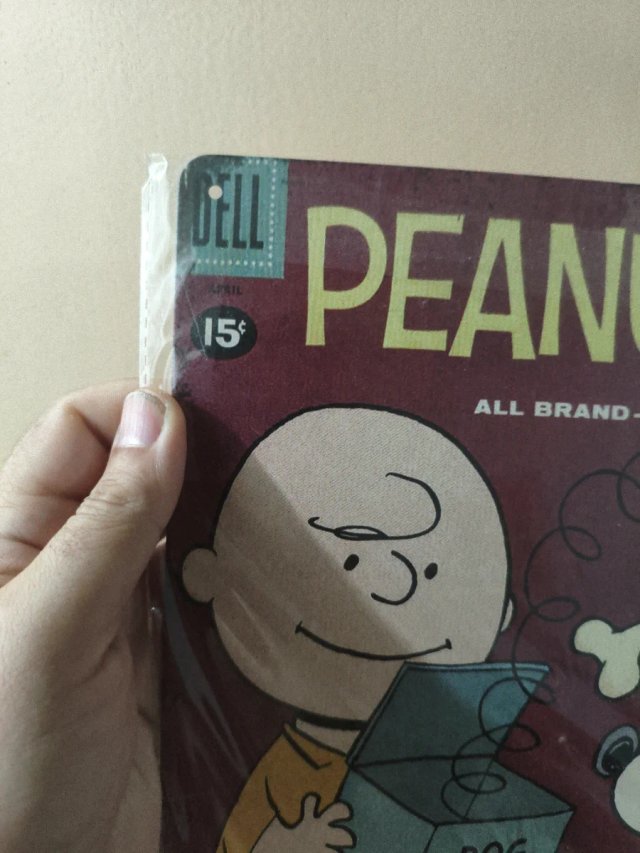 Placa Metálica Decorativa Peanuts Charlie Brown Sn