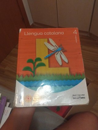 Llengua catalana, 4 Primària, Projecte Construi...