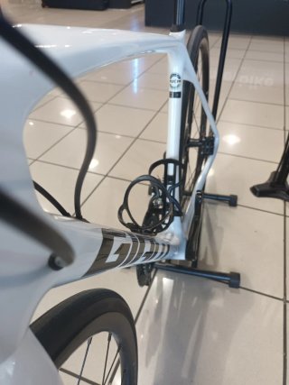 Giant TCR Carbono