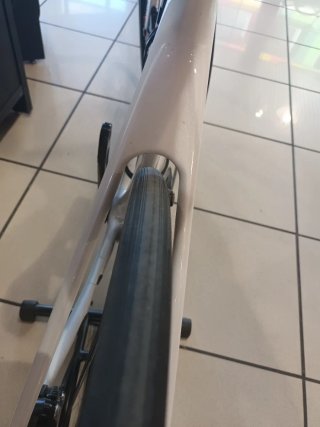 Giant TCR Carbono