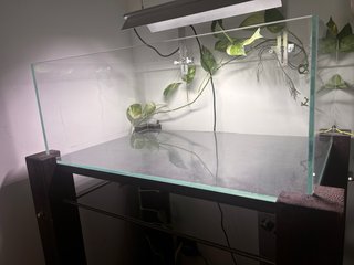 Acquario Amtra Shallow