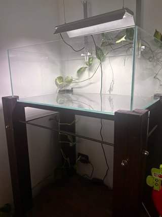 Acquario Amtra Shallow