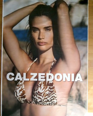 Posters _ gran tamaño.