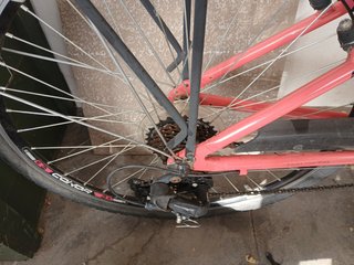 Bicicleta Paseo Rosa Conor