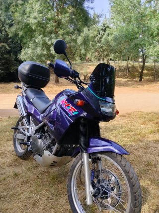 Kawasaki KLE 500 Morado