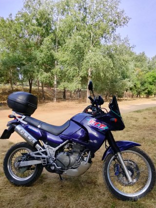 Kawasaki KLE 500 Morado