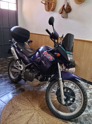 Kawasaki KLE 500 Morado