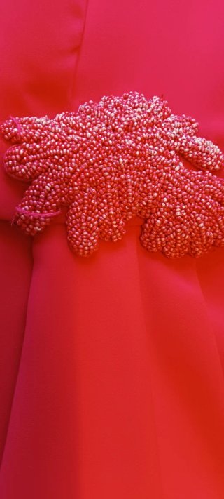 Vestido largo fiesta Carla Ruiz Rojo