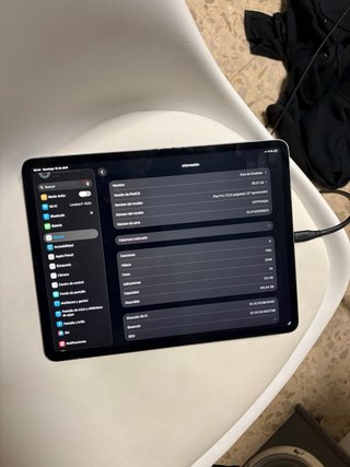 iPad Pro 12.9 3ª Gen Plata