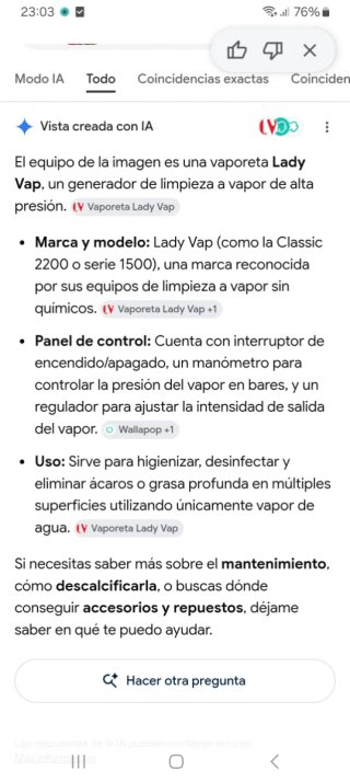 Vaporeta profesional Lady Vap con plancha