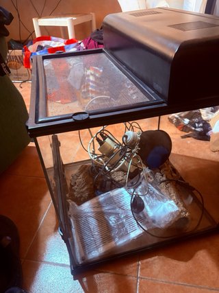 Terrario 45cm con Accesorios