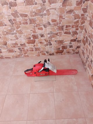Lotes de productos