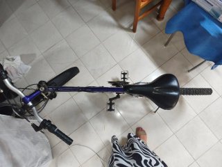 Bicicleta Comanche Classic Morada