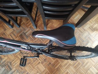 Bicicleta de montaña