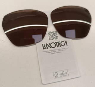 Lentes recambio Emporio Armani EA4203U 73 Marrón