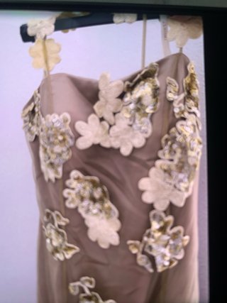 Vestido de fiesta beige y dorado