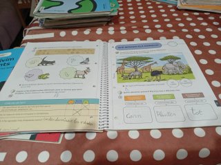 Els animals vertebrats, nivell l Els Nostres Am...