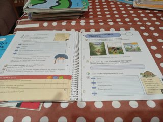 Els animals vertebrats, nivell l Els Nostres Am...