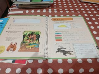 Els animals vertebrats, nivell l Els Nostres Am...