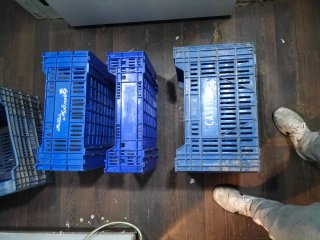 Cajas de fruta de plástico