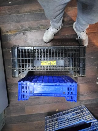 Cajas de fruta de plástico