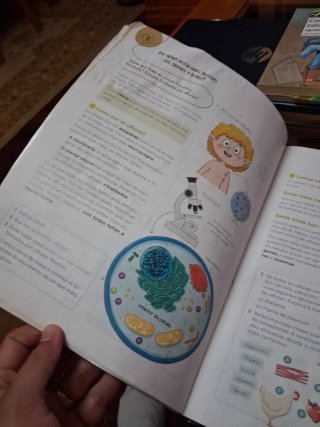 Ciencias da Natureza 4