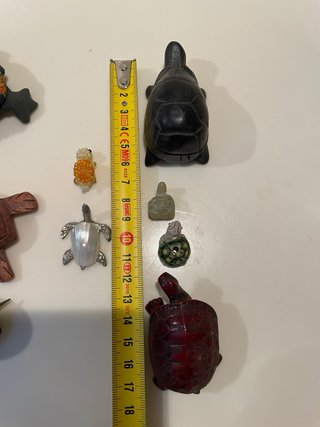 Lotto Piccole Tartarughe Collezionismo