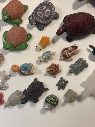 Lotto Piccole Tartarughe Collezionismo