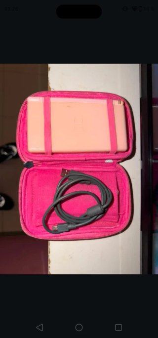 Nintendo 2DS Rosa