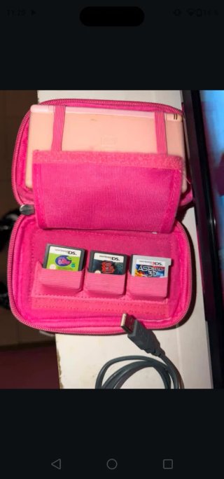 Nintendo 2DS Rosa