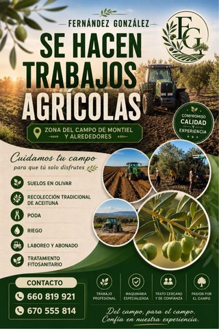 Sservicios agricolas vva infantes y alrede