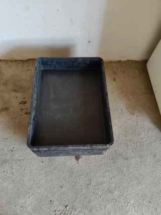 Bandejas de plástico o semilleros