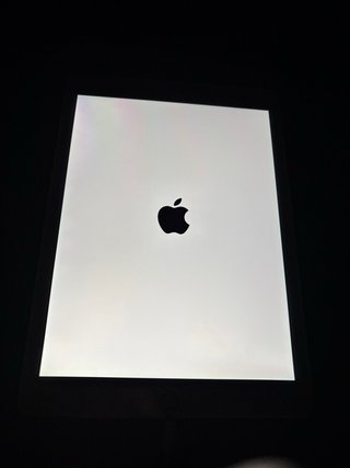 Apple iPad Air 2 16GB