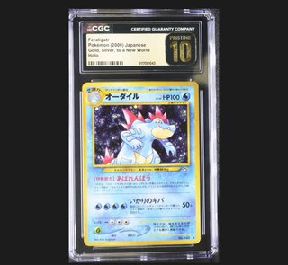 Carta Pokémon Feraligatr Holo Japonesa